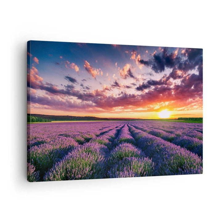 Bilder auf Leinwand Lavendel Berge Feld Leinwandbild mit Rahmen 70x50cm Wandbilder Dekoration Wohnzi