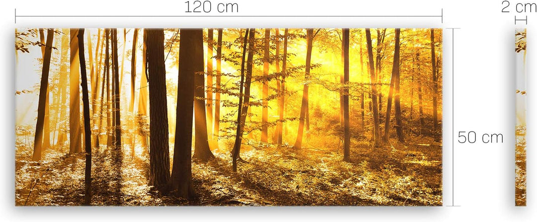 ge Bildet Bild auf Leinwand | Landschaftsbilder - beautiful morning in the forest G in 120x50 cm als