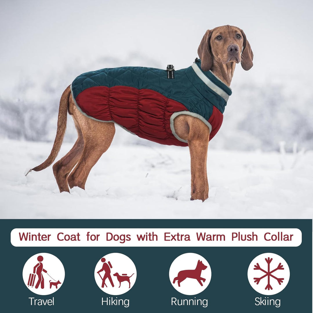 Kuoser Wärme hundemantel, Winddicht hundejacke, Reflektierend hundemantel für kleine Hunde, hundeman