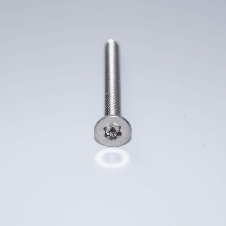 Senkschrauben mit Innensechsrund M6X10 TX30 100 Stück ISO 14581 A2 Edelstahl rostfrei Senkkopfschrau