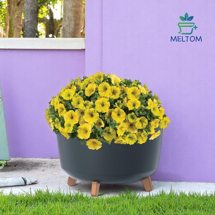MELTOM Blumentopf Schale mit Füssen Einsatz Blumenschale Kräutertopf Übertopf, 39 cm x 27 cm (Anthra