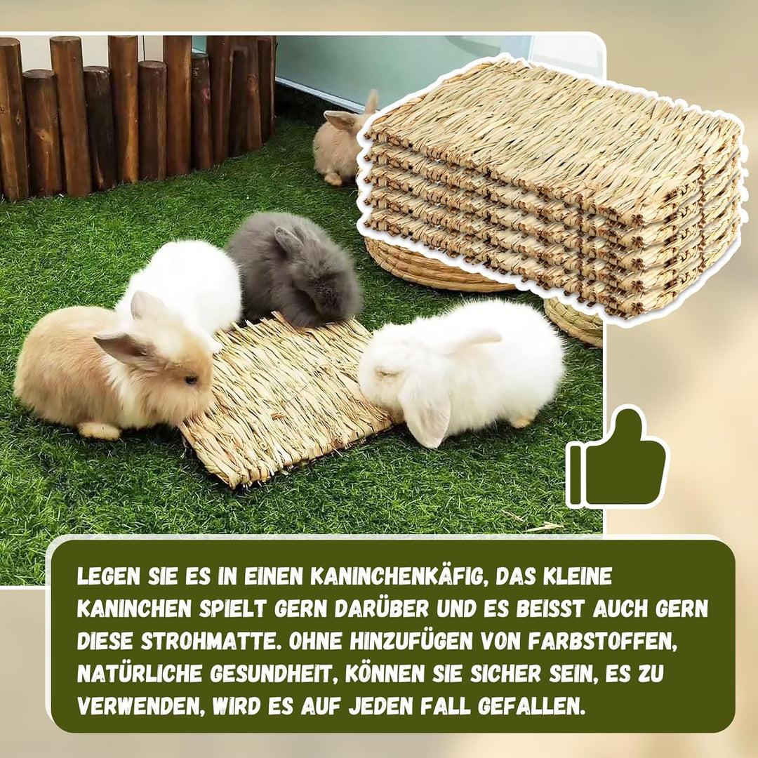 5 Stück Kleintier Grasmatten,28CM Tier-Kauspielzeug,Grasmatte Gewebte Bettmatte für Kleintiere Kanin