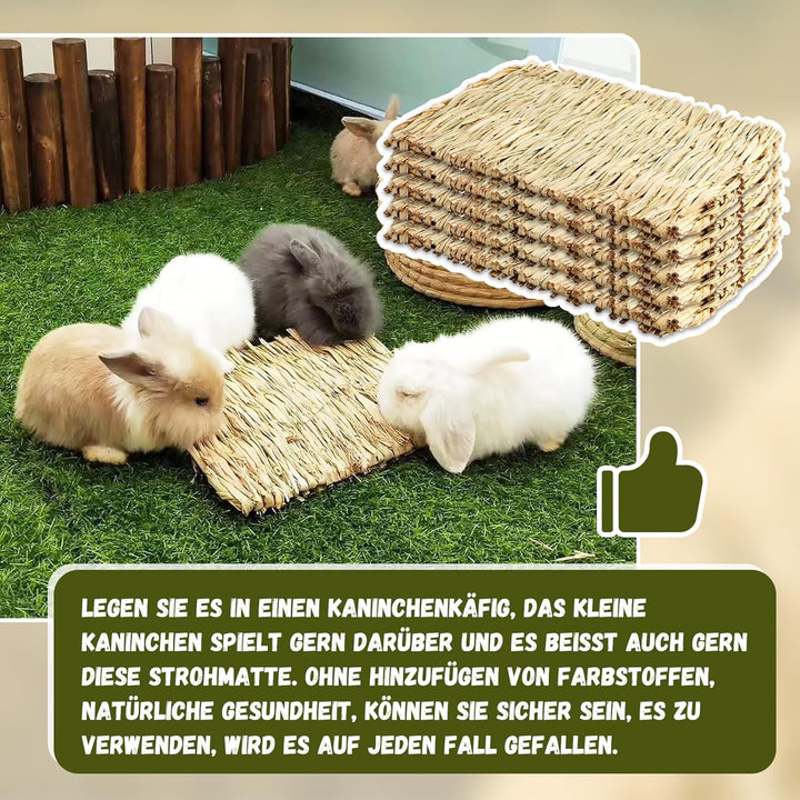 5 Stück Kleintier Grasmatten,28CM Tier-Kauspielzeug,Grasmatte Gewebte Bettmatte für Kleintiere Kanin