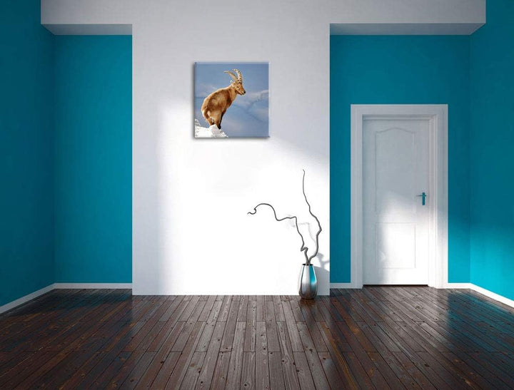 Steinbock im Schnee, Format: 70x70 auf Leinwand, XXL riesige Bilder fertig gerahmt mit Keilrahmen, K