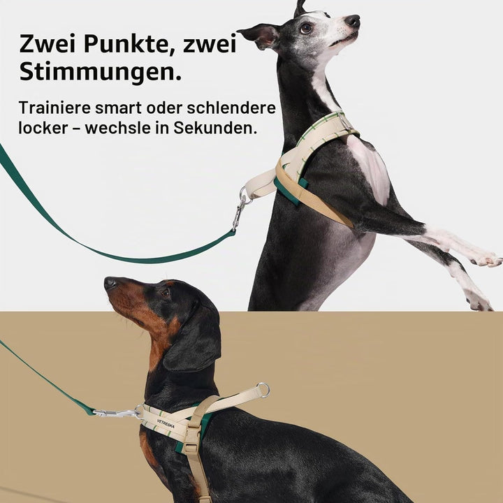 VETRESKA Hundegeschirr und Leine, Easy Walk Hundegeschirr für grosse und mittelgrosse Hunde, kein Zi
