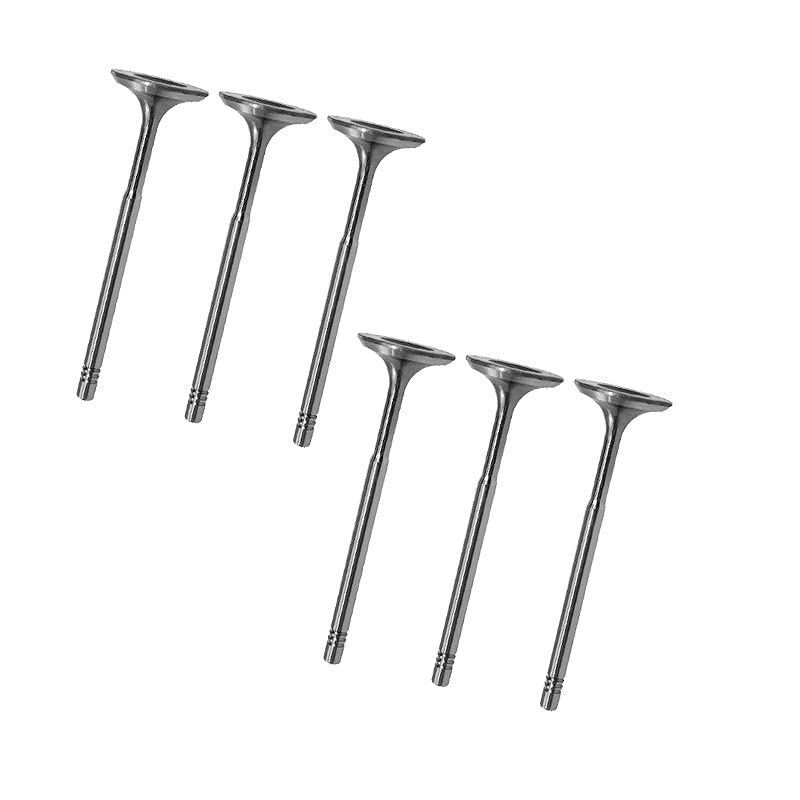 6x Einlassventil