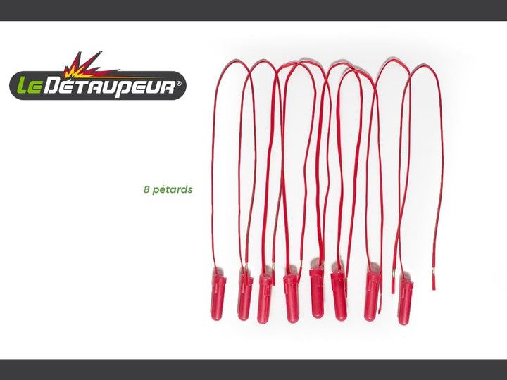 SBM DETAUPEUR RECHARGEX8 RECHARG8