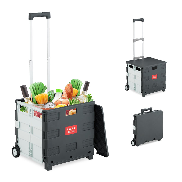 Relaxdays Einkaufstrolley, klappbar, Einkaufskorb mit Rollen, Deckel &amp; Teleskopgriff, bis 35 kg, Rol