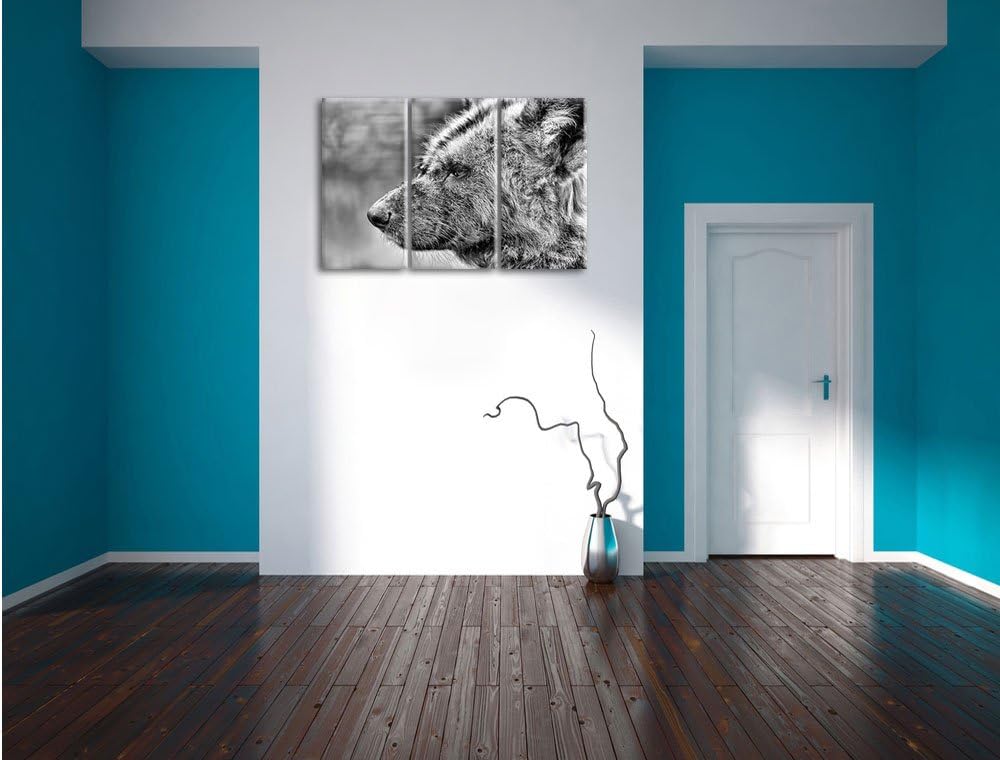 Pixxprint Hyäne im Seitenprofil als Leinwandbild/Grösse: 3 Teilig (120x80) cm/Wandbild/Kunstdruck/fe