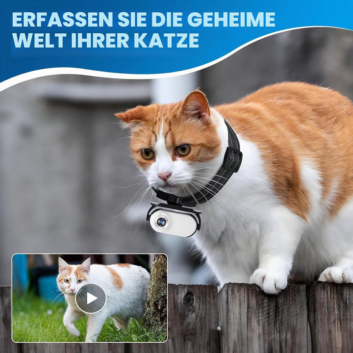 1080P Katzen-Kamera-Halsband – kabellose Mini-Sportkamera mit Videoaufnahme, kleine Action-Kamera fü