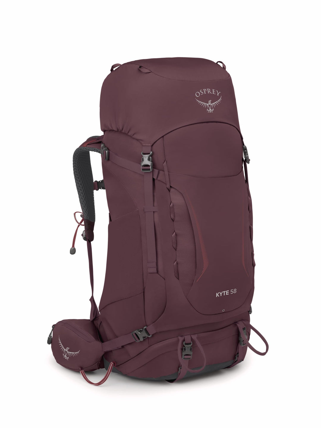 Osprey Damen Rucksack Elderberry Purple WM/L, Elderberry Purple WM/L
