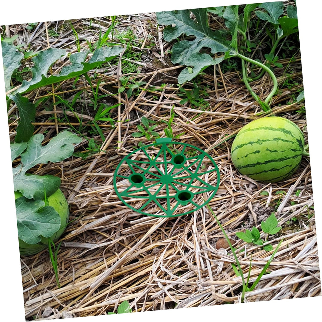 HANABASS Melonenhalter 5 Stück, PP, Grün, Stabile Kürbiswiege für Garten, Grün