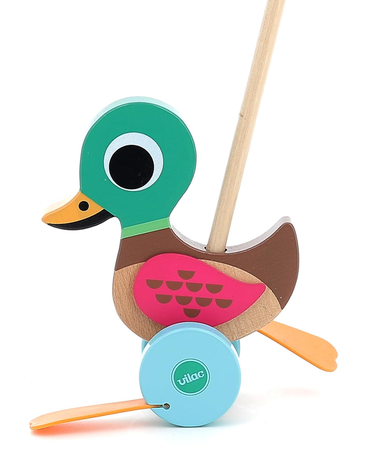 Vilac VIL7785 Push Ente, Mehrfarbig Ente Mehrfarbig, Ente Mehrfarbig