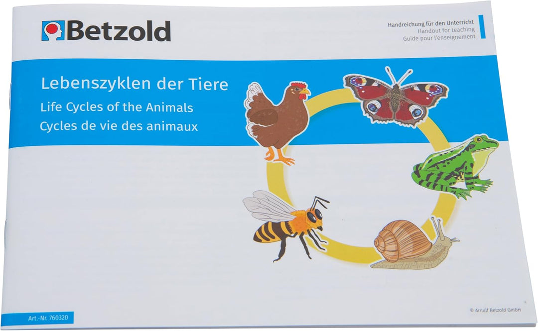 Betzold - Lebenszyklus der Tiere, magnetisch - Tafelmaterial NoColor, NoColor