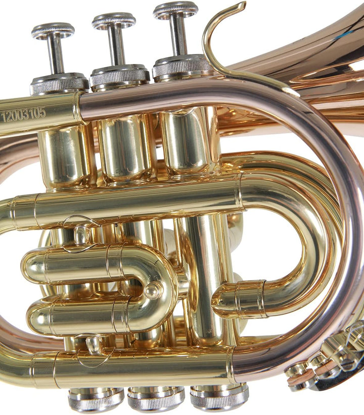 Roy Benson Bb Taschen-Trompete MOD.PT-101G lack. Goldmessing, inkl. Etui, PT-101G