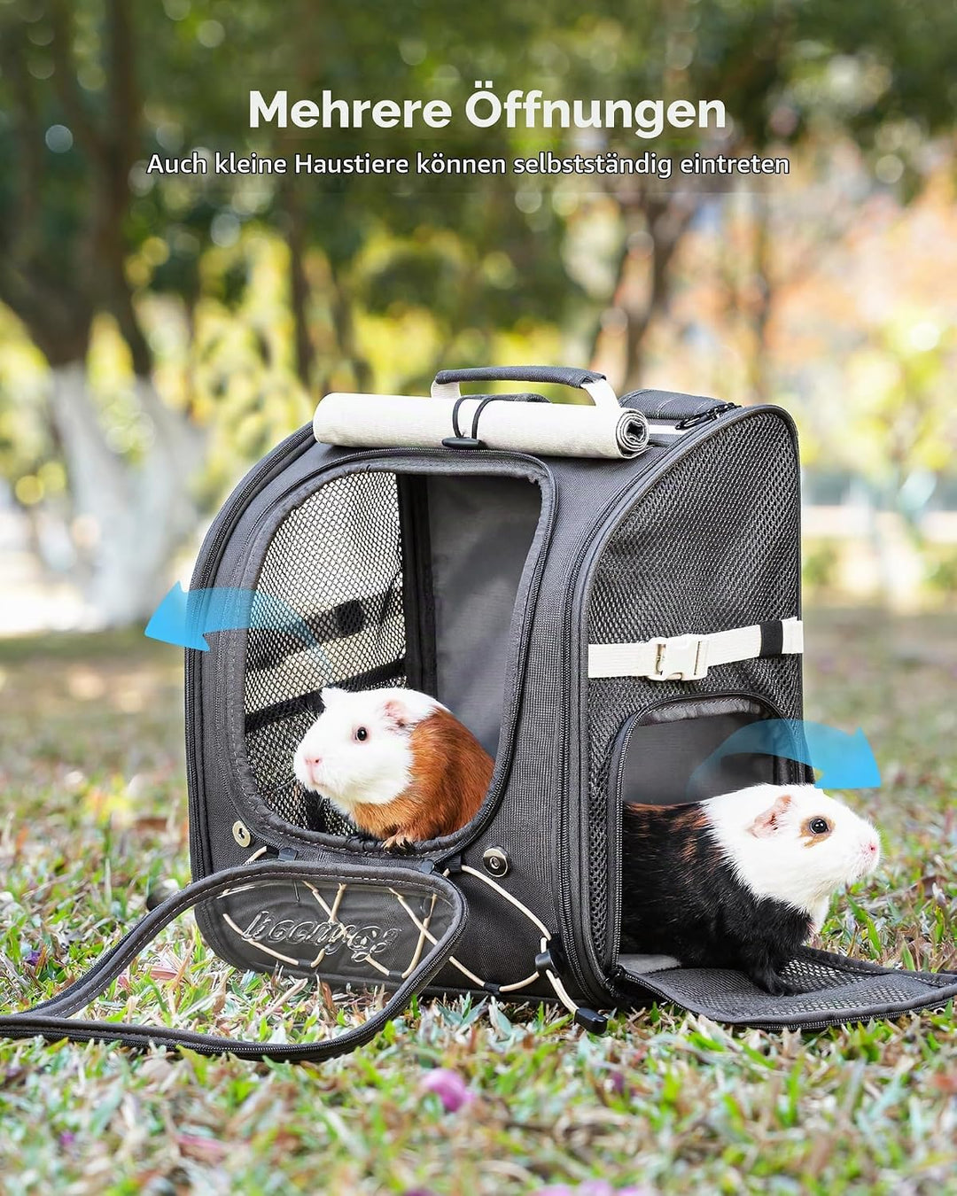 Pecute Transportbox Katze &amp; Kaninchen, bis 4kg, mit Sichtfenster, Grau
