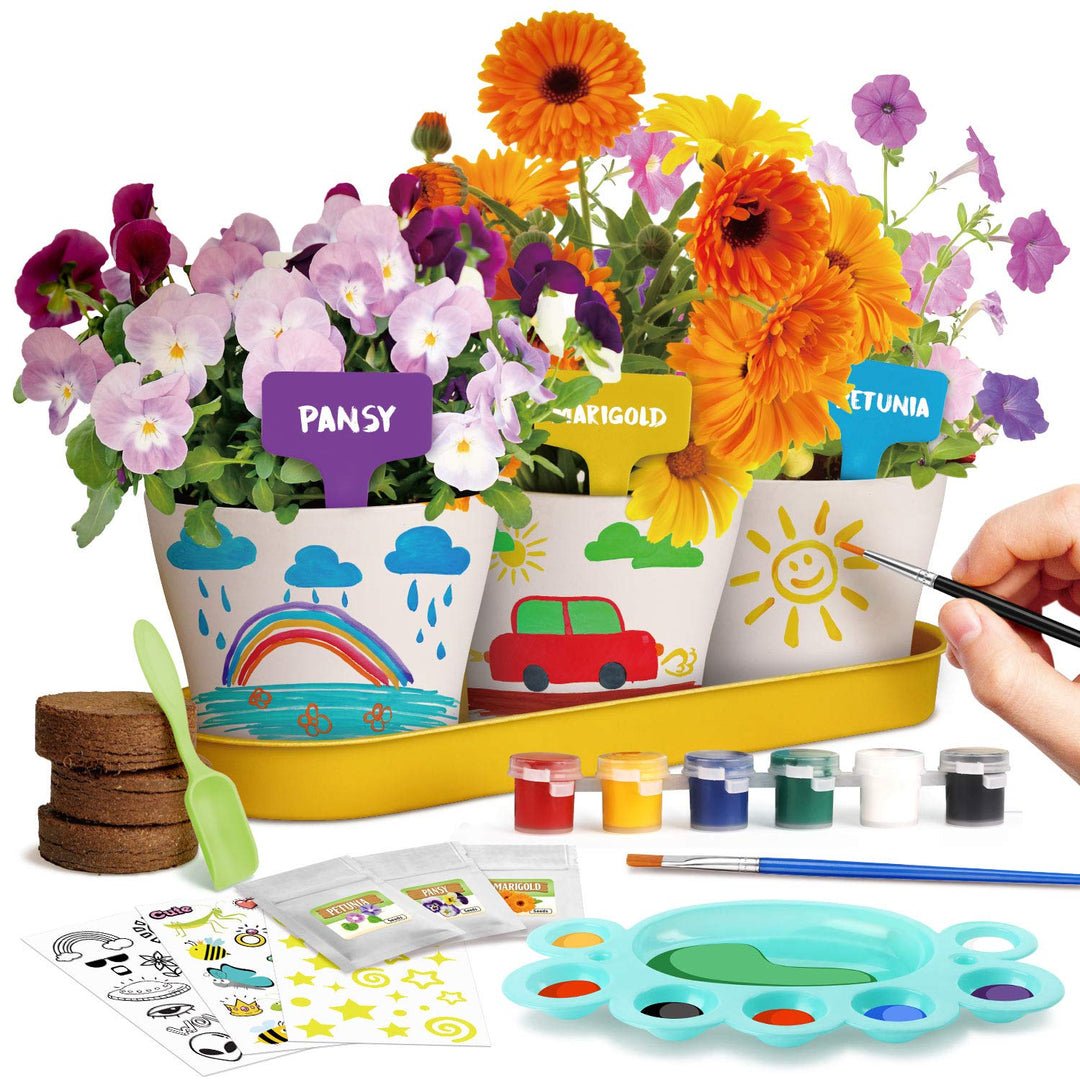 Dr. Daz Malen Garten Anzuchtset Pflanzen Geschenk Kinder Blumen Bonsai Pflanzen Züchten Kinder Set E