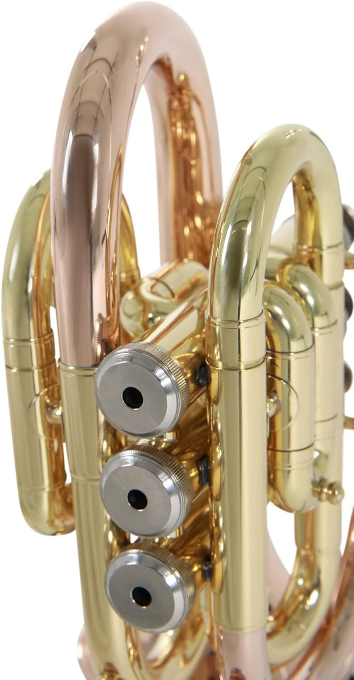 Roy Benson Bb Taschen-Trompete MOD.PT-101G lack. Goldmessing, inkl. Etui, PT-101G