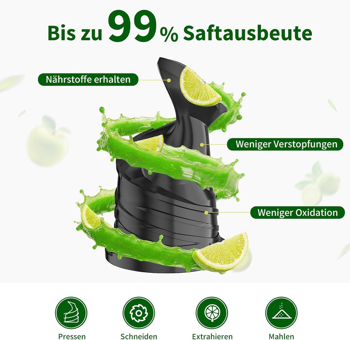 SJ-065 Entsafter Slow Juicer, 400W, 152 mm XL-Einfüllschacht Titanium Gray, Titanium Gray