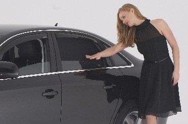 Sonniboy kompatibel mit BMW X3 (F25) 2010-2017