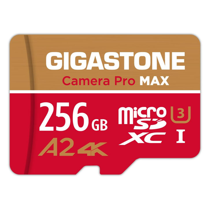 [5 Jahre kostenlose Datenwiederherstellung] GIGASTONE 256 GB Micro SD Karte, Kamera Pro MAX, bis zu