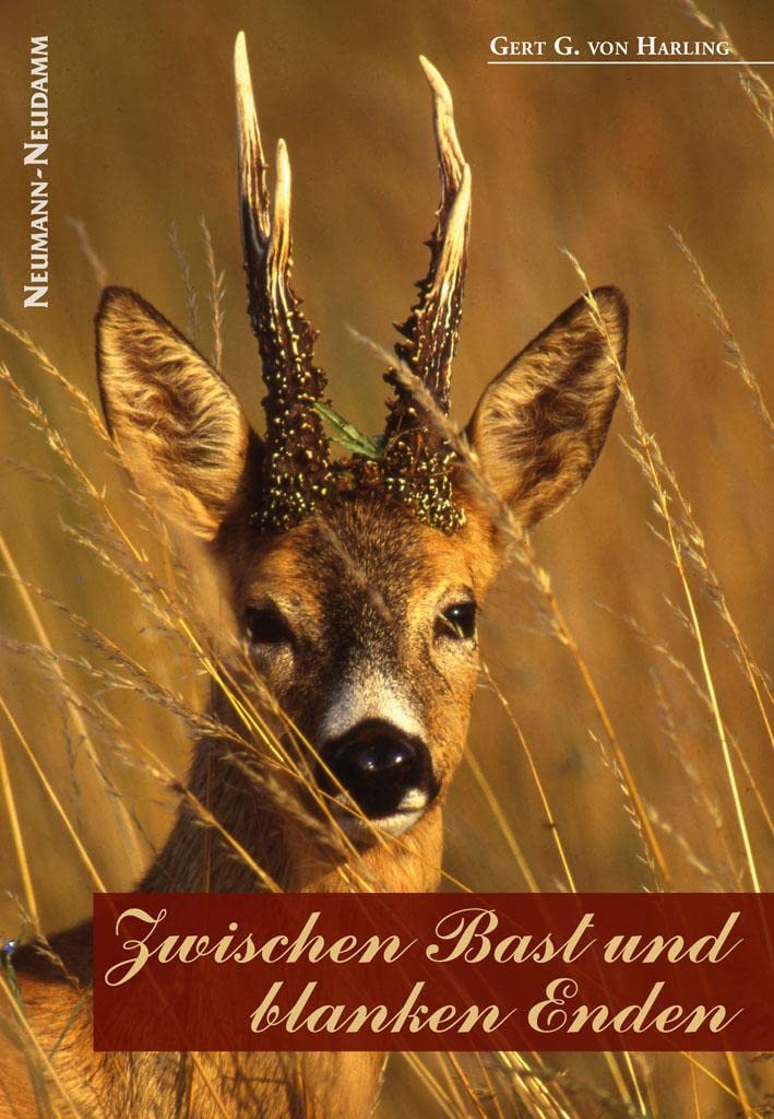 Zwischen Bast und blanken Enden, Gebundenes Buch