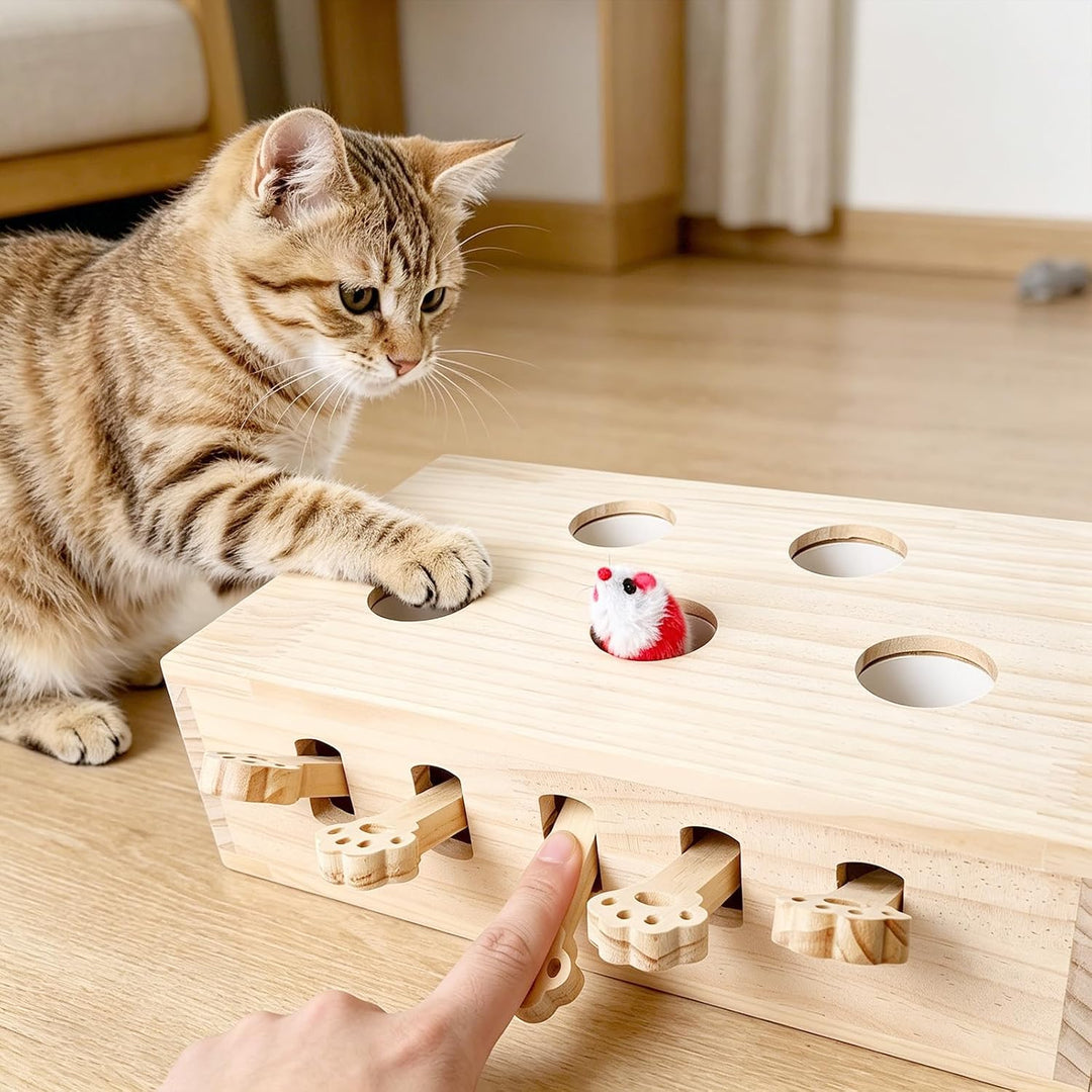 Interaktives Katzenspielzeug Holz Spielzeug, Katzenspielzeug Selbstbeschäftigung Puzzle Box mit Spie