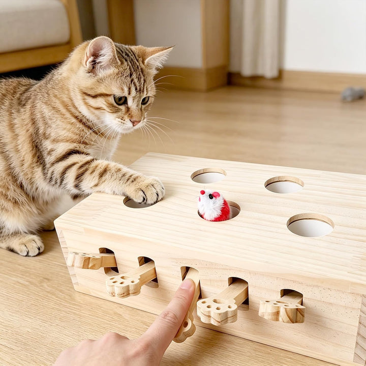 Interaktives Katzenspielzeug Holz Spielzeug, Katzenspielzeug Selbstbeschäftigung Puzzle Box mit Spie