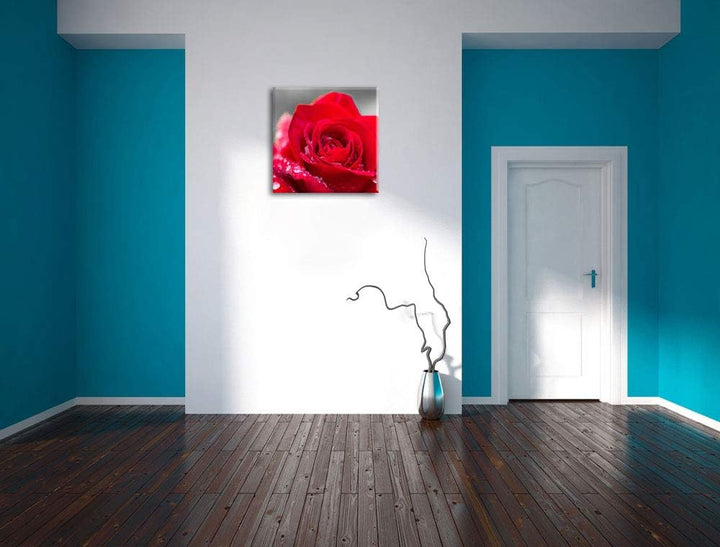 Pixxprint Rose mit Wassertropfen als Leinwandbild/Grösse: 70x70 cm/Wandbild/Kunstdruck/fertig bespan