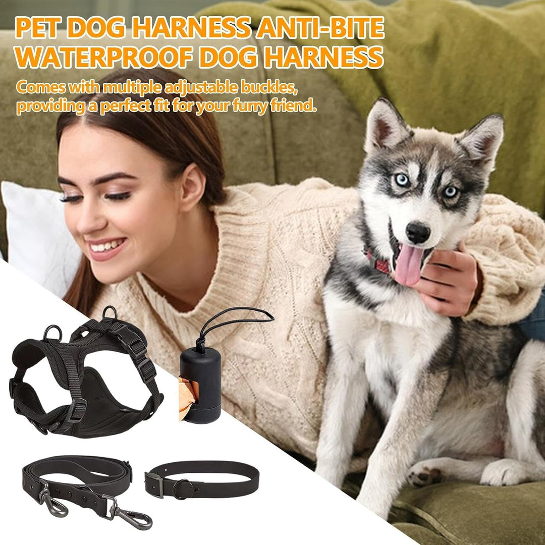 Hundegeschirr-Set – Hundehalsband, Leine, Set für kleine Haustiere, Halsband und Leine, kein Ziehen,