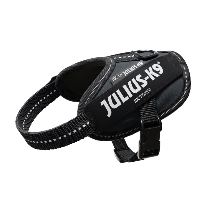 Julius-K9, IDC Powergeschirr, Grösse: 2XS / Baby 2, Anthrazit