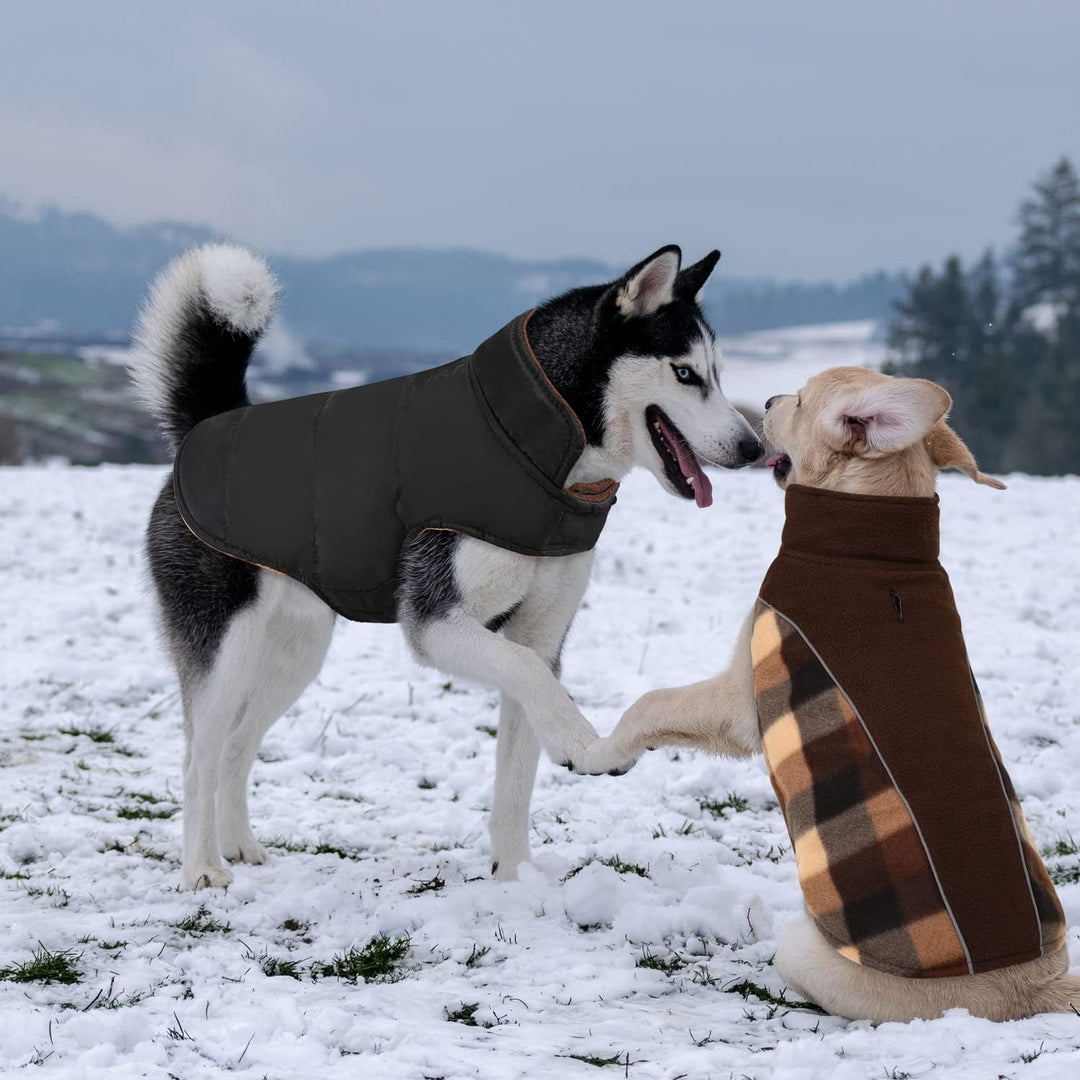 CITÉTOILE Warme Hundemantel Winter, Hundemantel mit Bauchschutz, Wintermantel für Hunde mit Reflekti