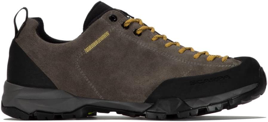 Scarpa Mojito Trail GTX Outdoorschuhe 45 EU Titan, 45 EU Titan