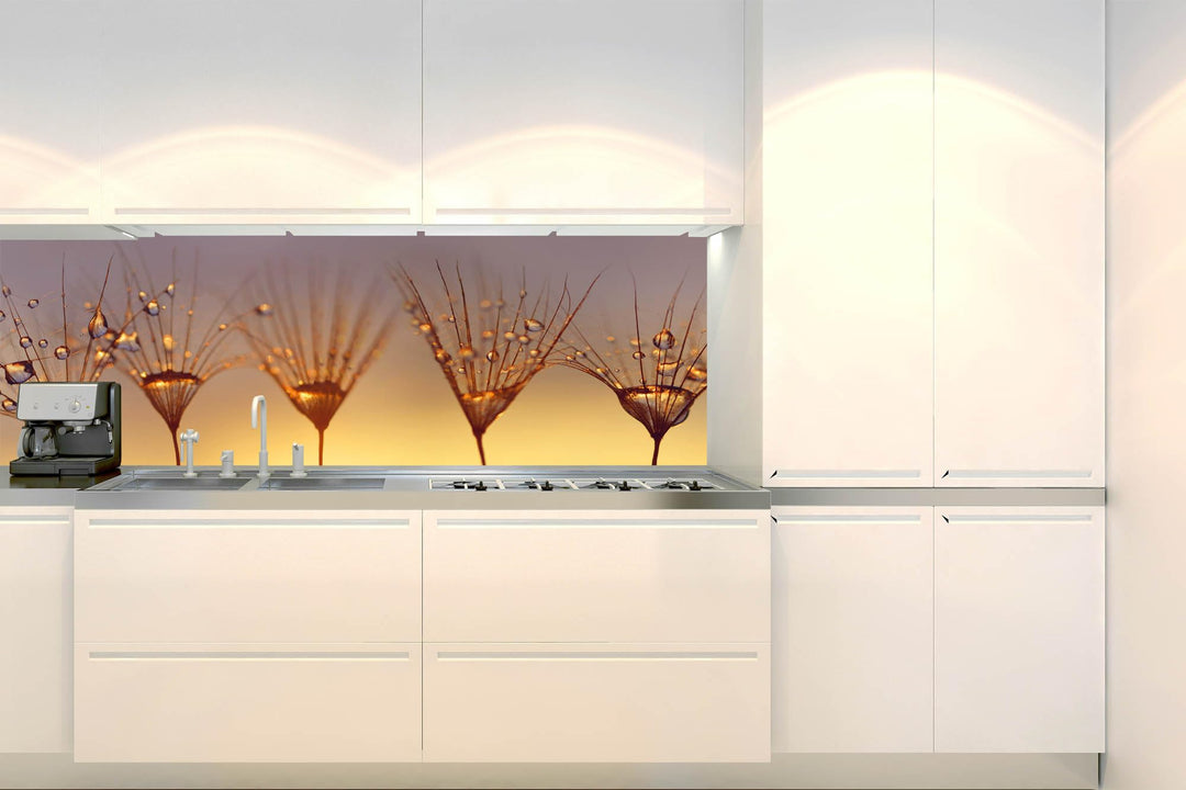 DIMEX Küchenrückwand Folie Selbstklebend Tropfen AUF LÖWENZAHN 180 x 60 cm | Klebefolie - Dekofolie