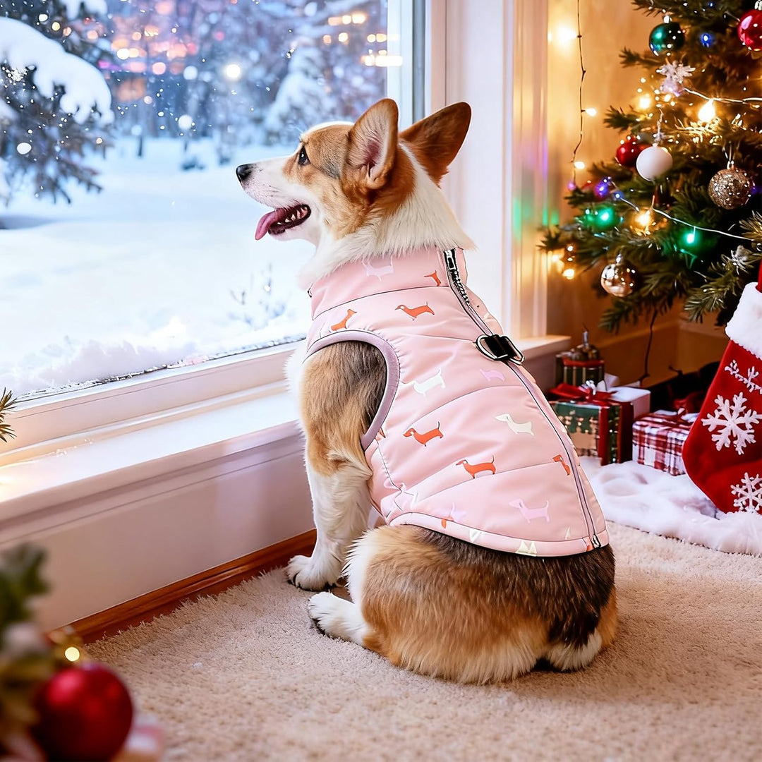 Hundemantel Winter Hundejacke Warme Hundemantel für Kleine Hunde Winddichte Hundeweste mit Geschirr