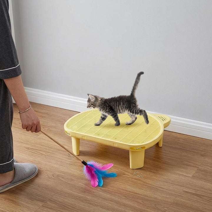 Katzentoiletten-Rampe rutschfest, Katzentreppe mit Litter Trapper Filterfunktion Leicht zu Reinigen,