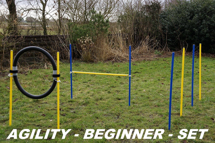 Agility-Beginner-Set BLAU/GELB