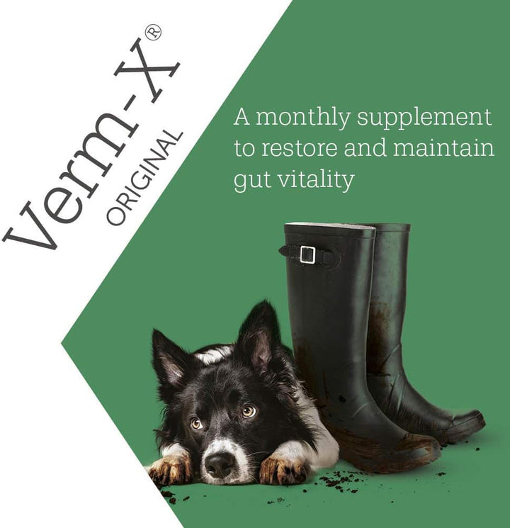 Verm-X Flüssig für Hunde, 1 Liter - 500ml