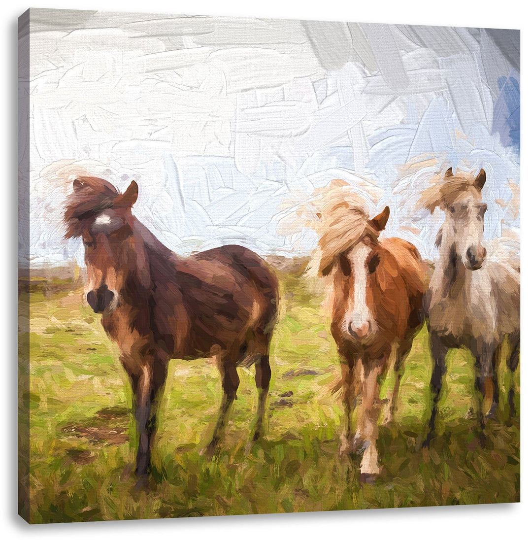 Pixxprint DREI Wilde Islandpferde Pinsel Effekt, Format: 70x70 auf Leinwand, 70x70