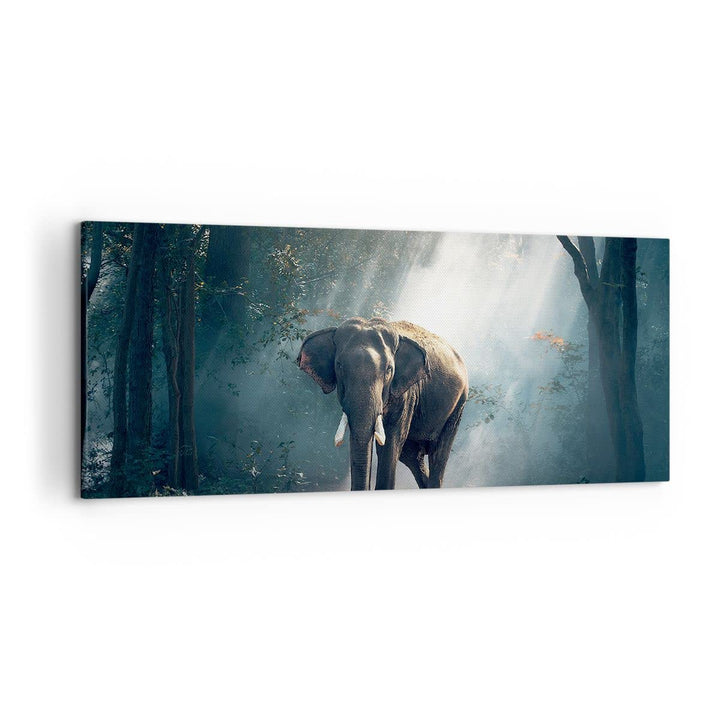Wandbilder Dekoration Wohnzimmer elefant natur Panorama Bilder auf Leinwand 120x50cm Leinwandbild mi