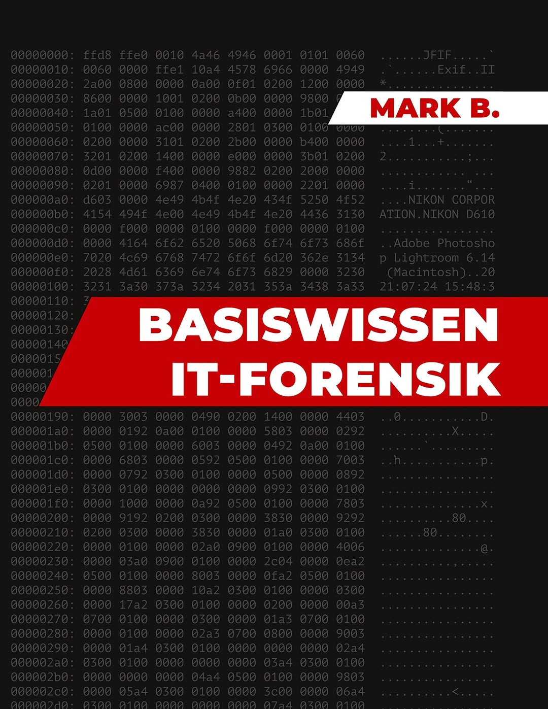 Basiswissen IT Forensik, Taschenbuch
