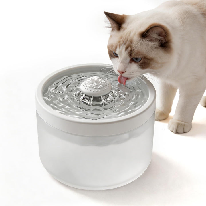 Kompakter Leiser Katzenbrunnen 1,8L Mehrschichtfilter Zirkulation weiss, weiss
