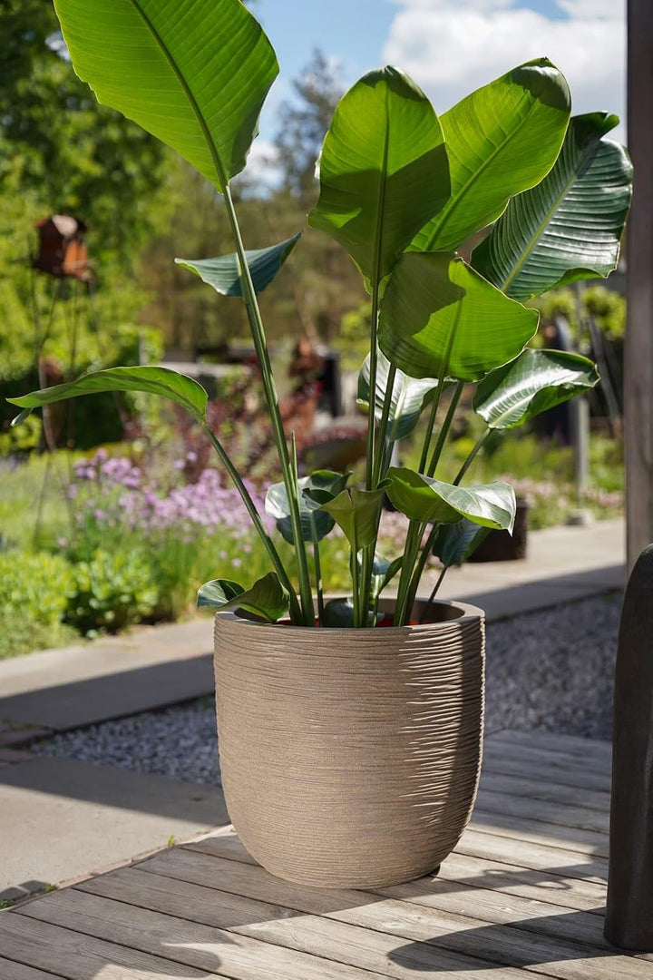 Capi Europe - Blumentopf Kugel Rib NL - 35x34 - Schwarz - Öffnung Ø29 - Blumentopf für den Innen- un