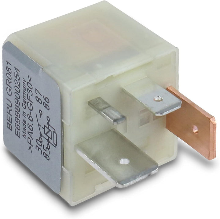 BERU GR081 Zünd und Glühanlagen