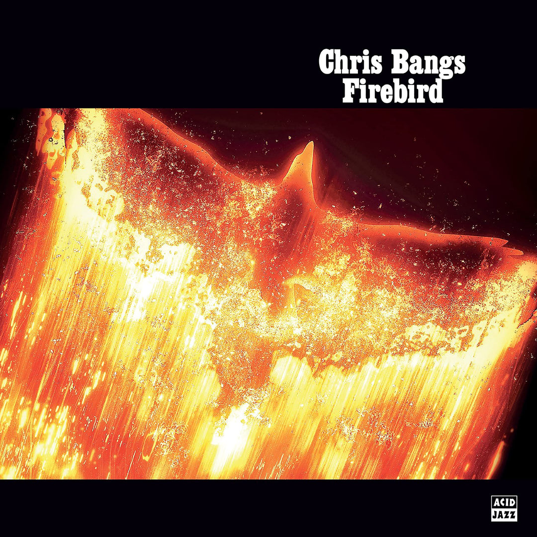 Firebird, Vinyl