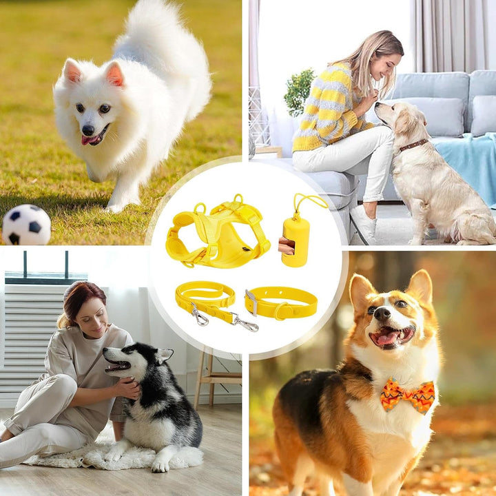 Hundegeschirr-Set, mittelgrosse Hunde, Haustiergeschirr, Halsband und Leine, Hundegeschirr mit Leine