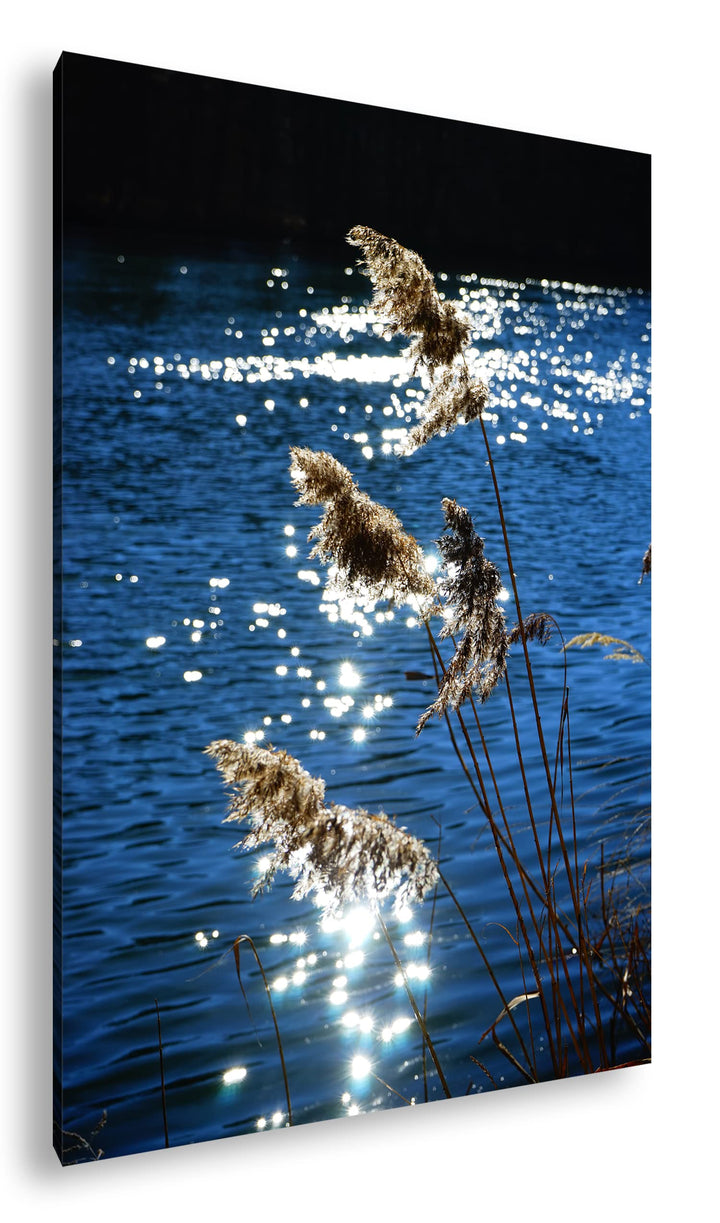 deyoli Schilf mit schimmernden Wasser im Format: 100x70 als Leinwandbild, Motiv fertig gerahmt auf E