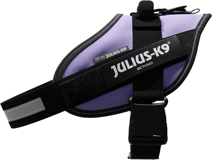IDC Powergeschirr, Grösse: M/0, Violett Violett M/0, Violett M/0