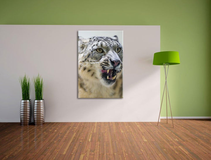 Pixxprint Schneeleopard zeigt Zähne auf Leinwand, XXL riesige Bilder fertig gerahmt mit Keilrahmen,