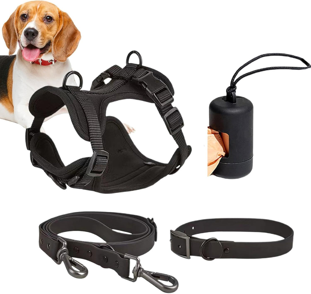 Hundegeschirr-Set – Hundehalsband, Leine, Set für kleine Haustiere, Halsband und Leine, kein Ziehen,